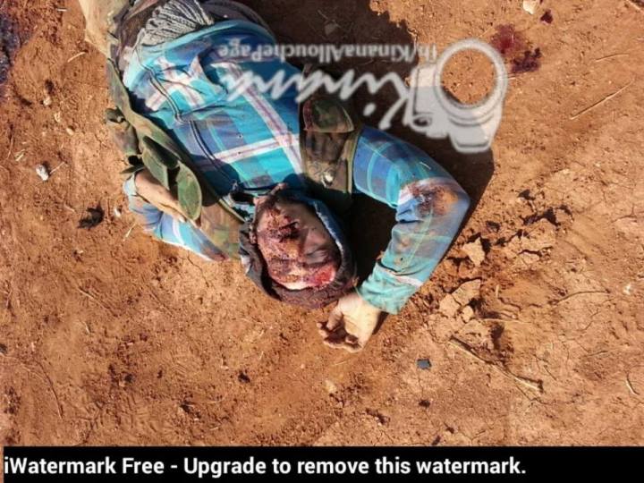 12189712_1017460101632255_4482632270363308989_n