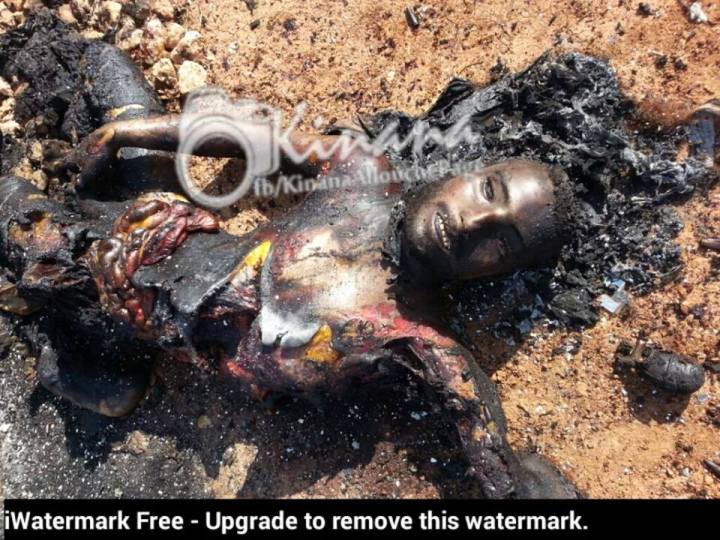 12193581_1017460364965562_6497906331184016207_n