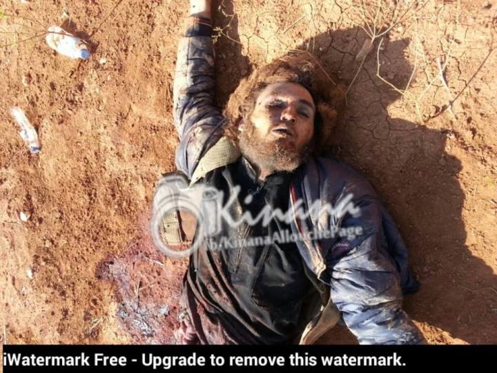 12193824_1017460678298864_8035954743362599931_n