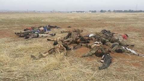 12342717_155120861512269_7417768697400969432_n