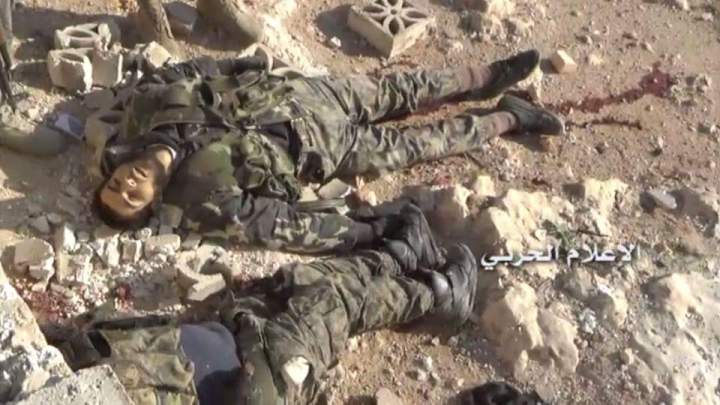 12348051_1035697996475132_4148892056761021199_n