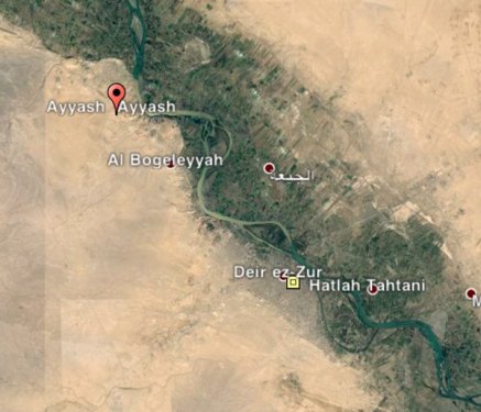 12358510_940208942725426_848549624_n