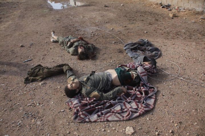 12359960_697545267048079_6078541433137233730_n