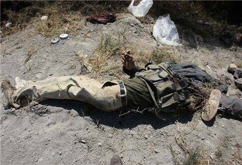 12390961_1539511786370550_442485792996874533_n