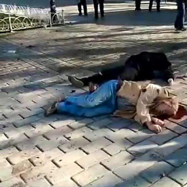 12548971_983711121676864_2189546066133117754_n