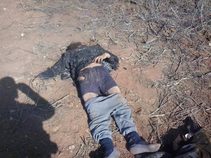 12592779_937543399664348_6341226684082794410_n