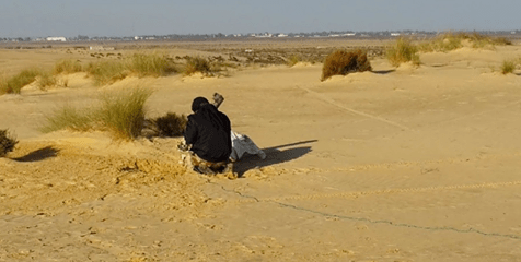 6907_980670108696766_7808183625790066516_n