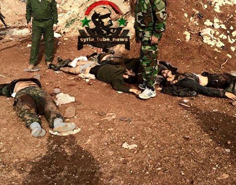 1468_653029414836372_7717073493637050901_n