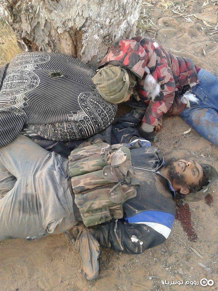 10410116_798151823649955_5324026814656131546_n (1)