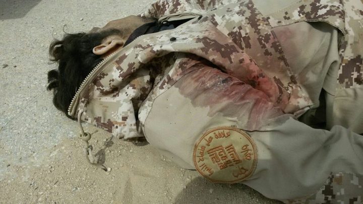 1157432_181967472185966_8986721272915374297_n