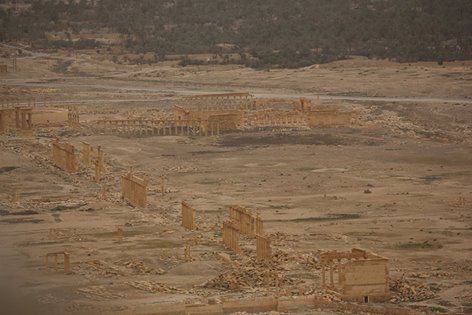 1173732_1301079856575018_2980618351402099935_n