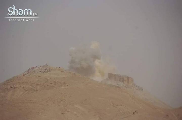 12321267_1023650341016275_6153930011847161801_n