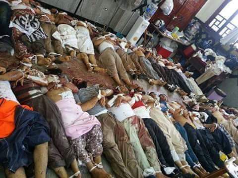 12512413_1231059776922345_6425405078842743064_n