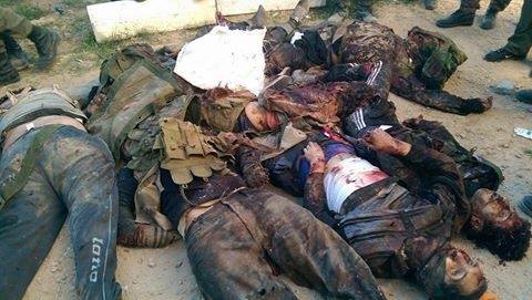 12794445_1229657440396778_4969985239178000980_n