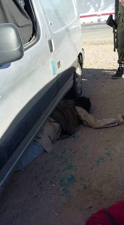 12794501_1229114100451112_184077841749375393_n