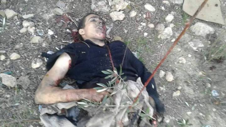 12795404_441921989337888_4709515107922193974_n