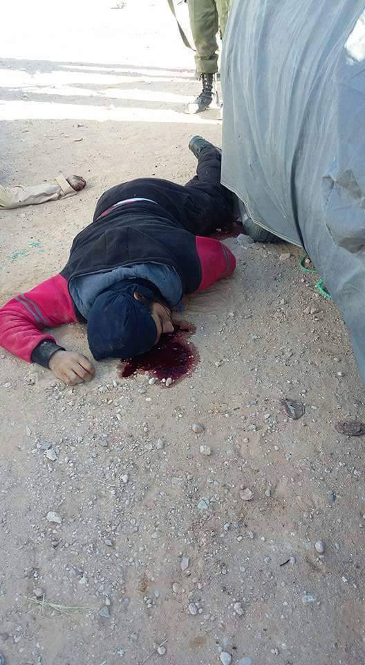 12799256_798172766981194_5811890951391259445_n