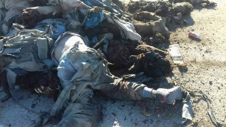 12804783_441922036004550_1377808260052012100_n