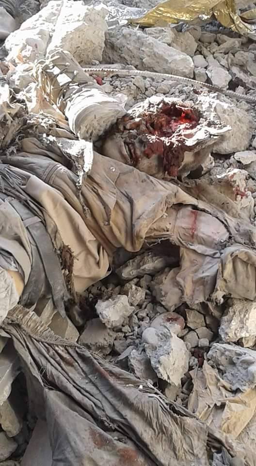 12809699_441922026004551_3876892829167808830_n