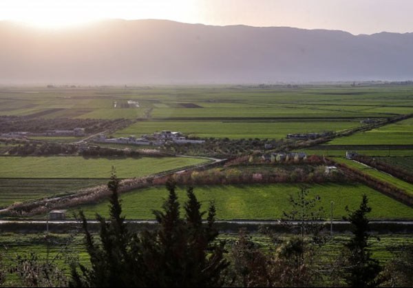 13941227133654167_PhotoL