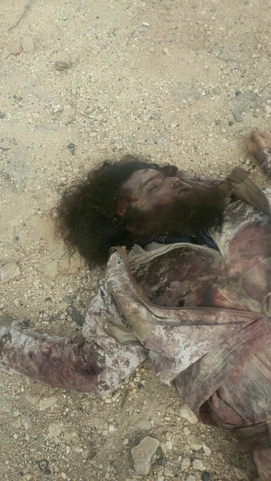 1909583_181967862185927_2493850953529842188_n