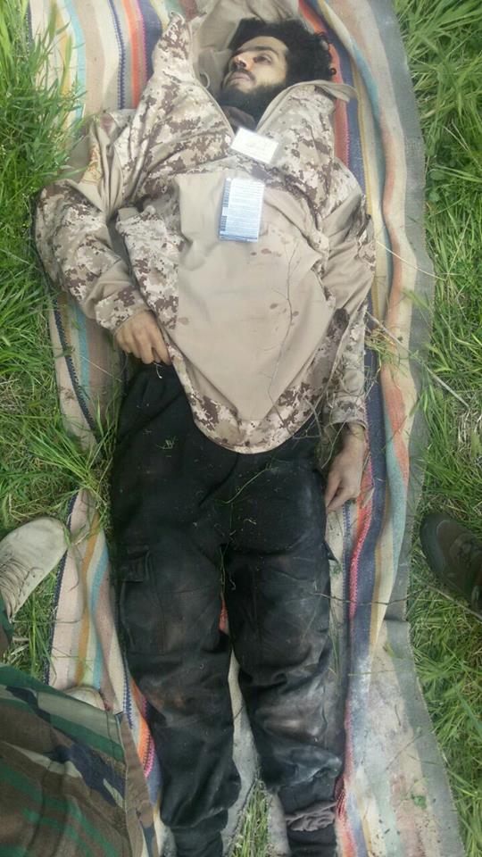 1917889_181967785519268_7142913092884568867_n