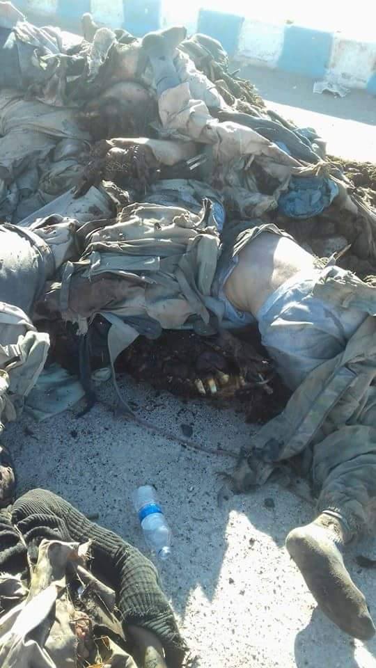 943990_441922082671212_9117109497177611598_n