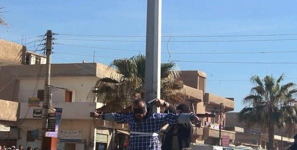 12494866_222019591519740_7747140162396851290_n