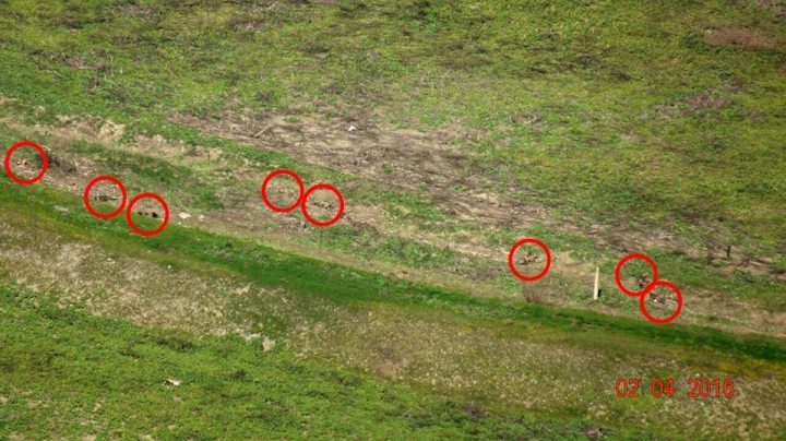 12512238_1698844200387599_8712641878350045034_n