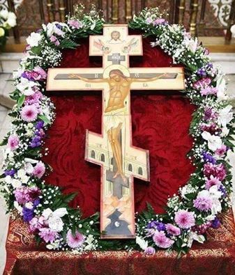 12592526_1159678344066340_3052583633387673350_n (1)