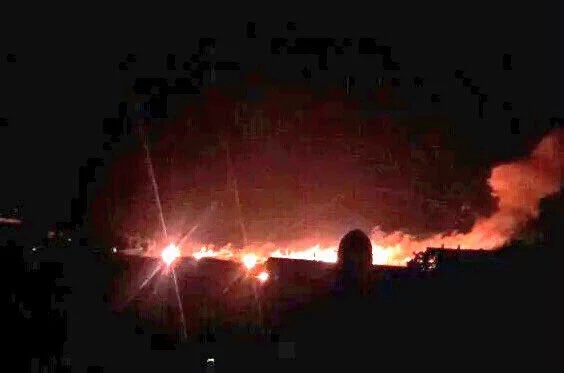 12919668_10154083619838669_5038345504417349172_n