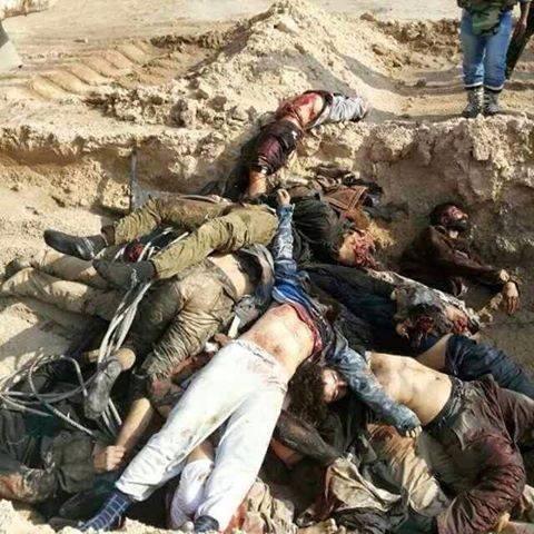 12928318_965572366854559_338391573095232640_n