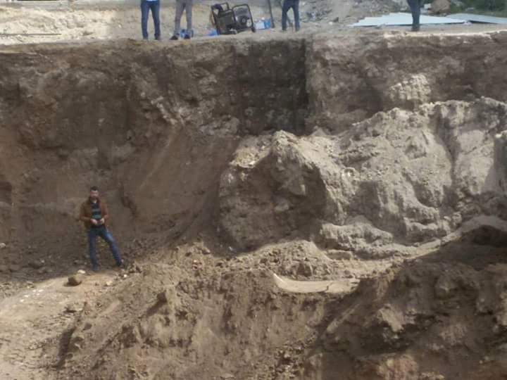 12932701_989163021159274_2451858045675066866_n