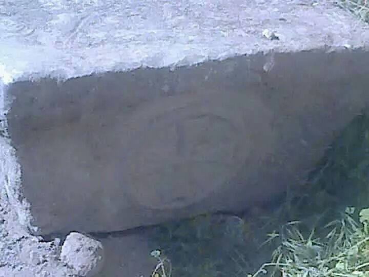 12961460_989163047825938_3680079128970686935_n