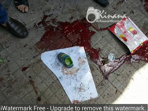 13076760_1081620735230299_2056627067747855366_n