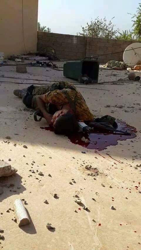 13077041_253736714976640_2097085952672373430_n (1)