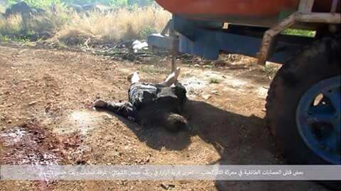 13151615_1049932588378830_904862406662663522_n