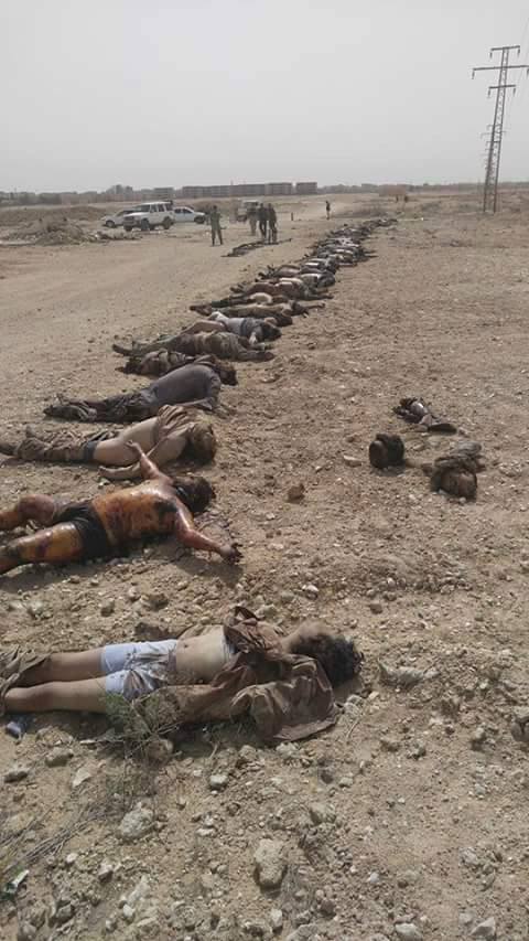 13178721_111448955938431_1990286993957086880_n