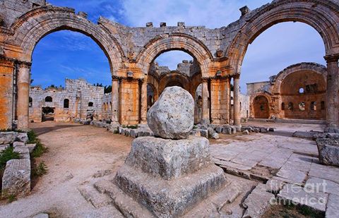 13221459_1165157513516136_8450609845984238158_n