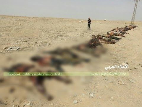 13239258_1706552849612104_140949317975347401_n