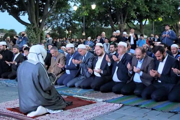 13256276_1164549713612063_670025754696350662_n