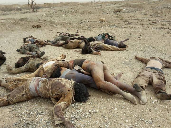 13256477_1607840696180700_5066463127484672942_n