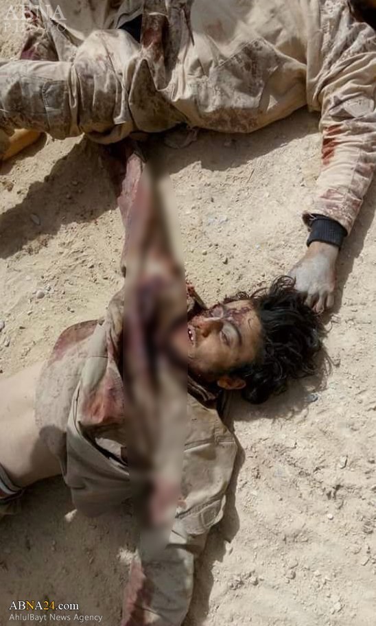 49e7dfd746cbbcd4446e51d5f6bc4ff3