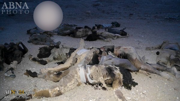 e2c700f08dcae20a42945ba8511f01d2