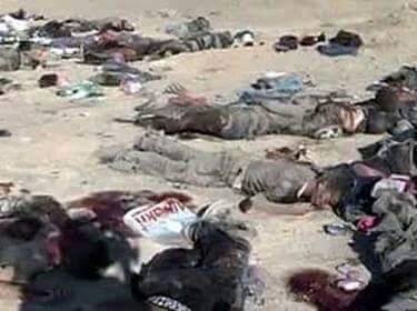 13312766_283145852022882_1143379229011932839_n