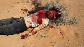 13331156_283145938689540_7371847376105410667_n