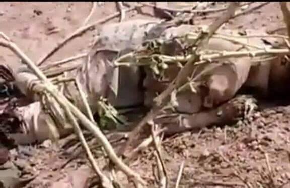 13348692_1066125310102111_568187985_n