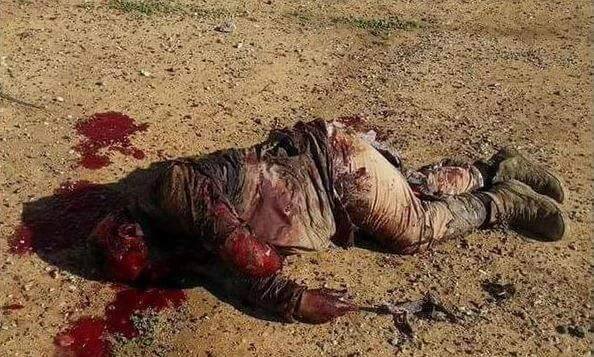 13348864_1066533303394645_88666798_n