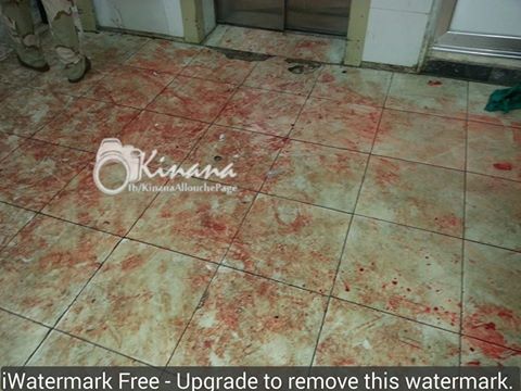 13537727_1071475369556360_3441663946040926443_n