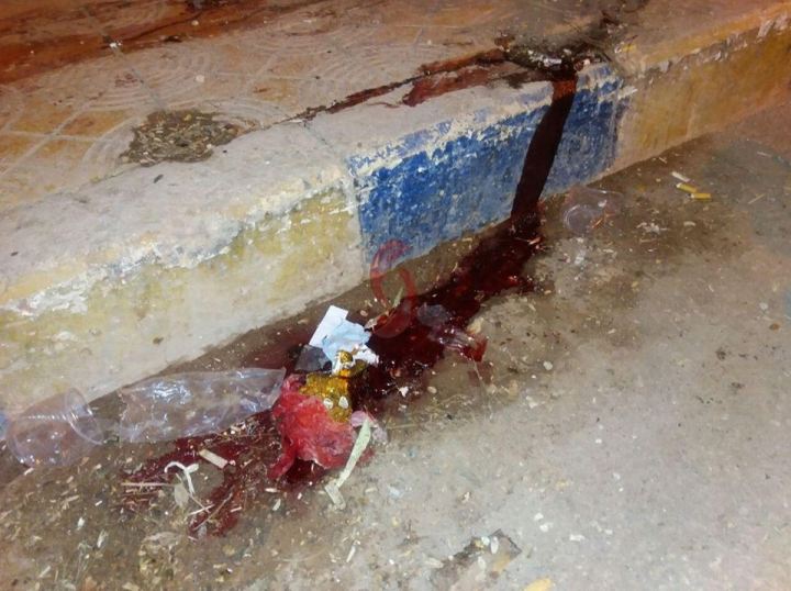 13600237_1126084510747900_3531687003352435811_n